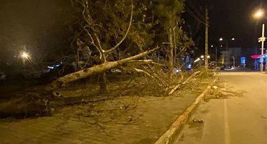 Hatay'da fırtına hayatı olumsuz etkiledi