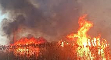 Eber Gölü'nde Yangın Çıkarmaya Çalışan Şahıs Jandarma Tarafından Yakalandı