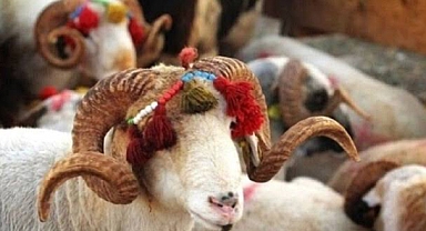 Afyonkarahisar Sağlık Müdürlüğü’nden Bayram Öncesi Uyarı: Sağlıklı Bayram İçin 10 Altın Kural