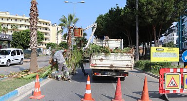 Alanya’da park ve yeşil alanlarda bakım çalışmaları sürüyor