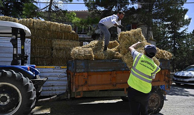 ATA Çiftliği’nde yapılan hasat kırsaldaki üreticiye ulaştırılıyor