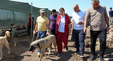 Bucak, Doğal Yaşam Alanı’nda incelemelerde bulundu