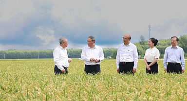 Çin Başbakanı, tahıl üretiminin istikrarı için önlem alınmasını istedi