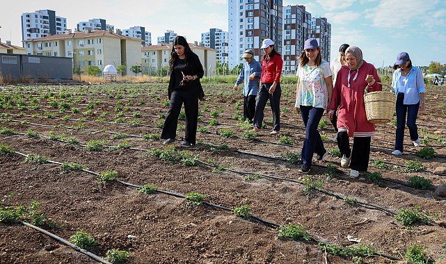 Eşbaşkan Bucak, üretici kadınlarla buluştu