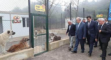 Gölköy’de Sokak Hayvanları Doğal Yaşam Alanı açıldı