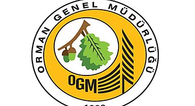 OGM: Bursa Nilüfer’de yangının enerjisi düşürüldü