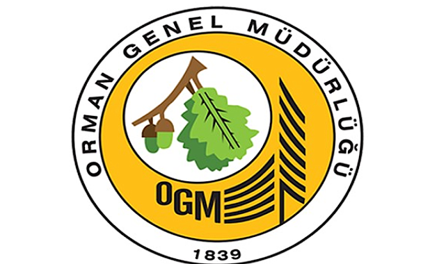 OGM, Seydikemer’deki yangına havadan ve karadan müdahale ediyor