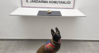 Şanlıurfa’da uyuşturucu operasyonu: 1 tutuklama