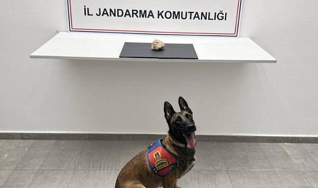 Şanlıurfa’da uyuşturucu operasyonu: 1 tutuklama