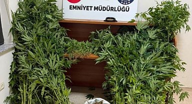 Uyuşturucu operasyonlarında 5 tutuklama