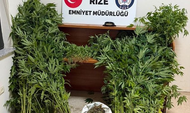 Uyuşturucu operasyonlarında 5 tutuklama