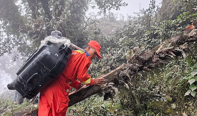 Wang Yi, Nepal Dışişleri Bakanı ile telefonda görüştü