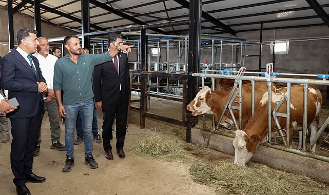 60 büyükbaş süt hayvanı kapasiteli modern tesis üretime katkı sağlıyor