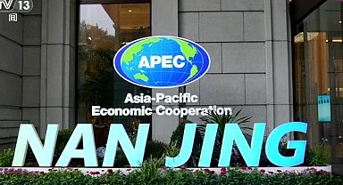 8. APEC İnsan Kaynakları Gelişim Bakanlar Toplantısı Nanjing'de başladı