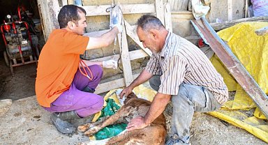 ABB’den küçük aile işletmelerine 12,5 milyon TL’lik veterinerlik desteği