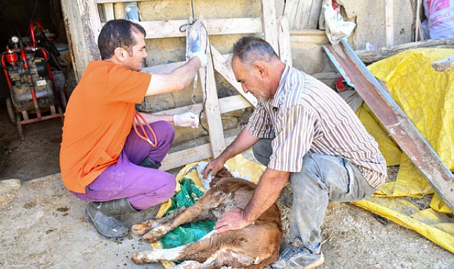 ABB’den küçük aile işletmelerine 12,5 milyon TL’lik veterinerlik desteği