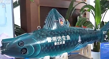 Akıllı Robot Uygulamaları ve Beceri Fuarı’nın Zhejiang ayağı başladı