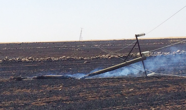 Anız yangınları hem tarımsal üretimi hem de enerji arzı riske atıyor