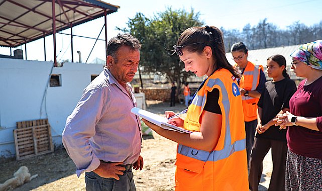 Antalya'da yangından etkilenen bölgelerde hasar tespit çalışması sürüyor