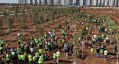 Diyarbakır’da binlerce fidan toprakla buluştu