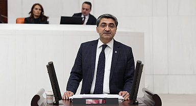 Ekmen: Devletin görevi yatırımcıya kazanç garantisi vermek değildir