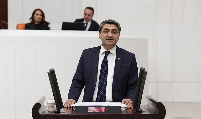 Ekmen: Devletin görevi yatırımcıya kazanç garantisi vermek değildir