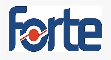 Forte Bilgi İletişim ihalede 1. oldu