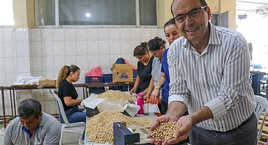 Gazipaşa’da 30 dönüm alanda nohut hasadı yapıldı
