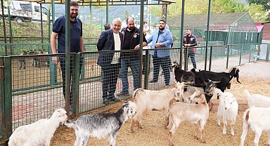 Giresun’da hayvan barınağı ve hayvanat bahçesinde çalışmalar incelendi