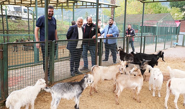 Giresun’da hayvan barınağı ve hayvanat bahçesinde çalışmalar incelendi
