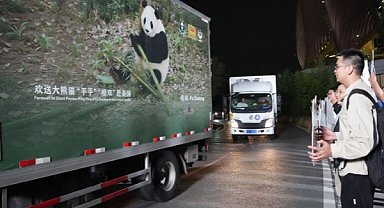 İki dev panda Çin’den ABD’ye yola çıktı
