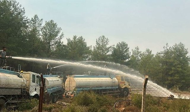Kepez Belediyesi yangın bölgesinde 20 araç ve 100 personelle sahada
