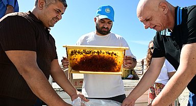 Manisa’da arıcılar için bal peteği koruma projesi hayata geçirildi