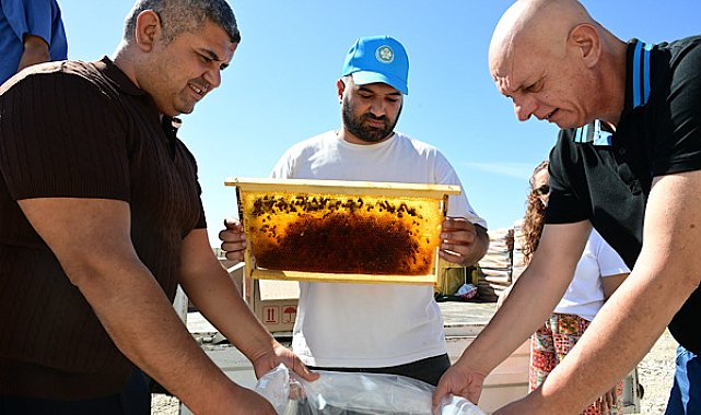 Manisa’da arıcılar için bal peteği koruma projesi hayata geçirildi