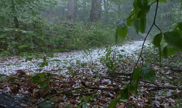 Meteoroloji’den kuvvetli yağış ve rüzgar uyarısı