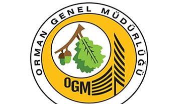 OGM: Antalya ve Adana’daki yangınlara müdahale sürüyor