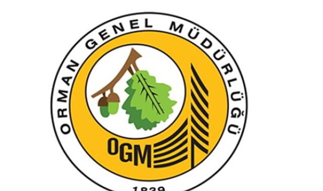 OGM: Antalya ve Adana’daki yangınlara müdahale sürüyor