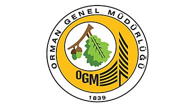 OGM: Muğla Menteşe'deki yangın büyük ölçüde kontrol altında