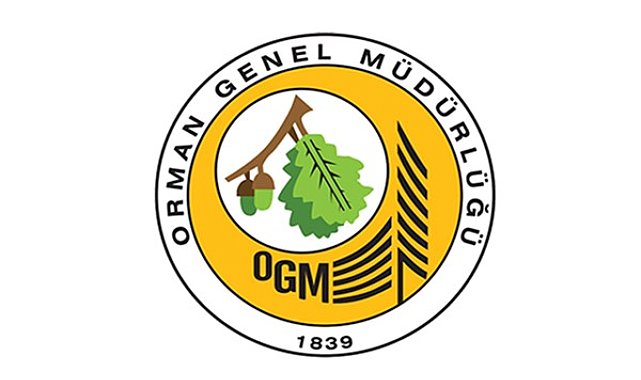 OGM: Muğla Menteşe'deki yangın büyük ölçüde kontrol altında