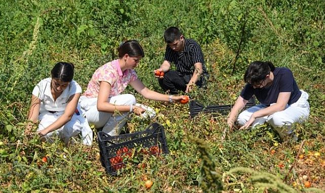 Osmangazi’de gençler gıdanın yolculuğunu deneyimledi
