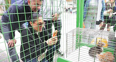 Patilerin Festivali 7’nci kez İzmirlilerle buluşuyor