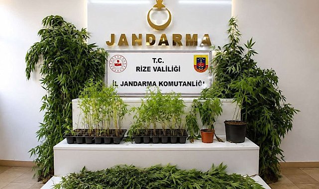 Rize’de ağustos ayında 77 aranan şahıs yakalandı