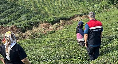 Rize’de tarım alanlarında hasar tespit çalışmaları sürüyor