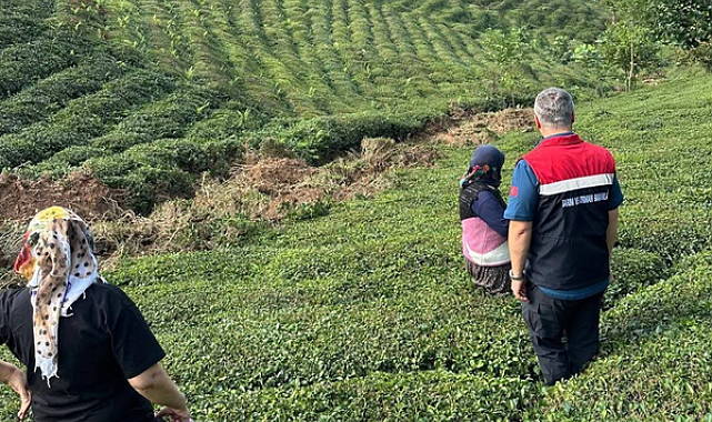 Rize’de tarım alanlarında hasar tespit çalışmaları sürüyor