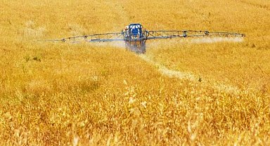 TÜRİB Buğday Ekmeklik Endeksi haftayı yüzde 4,75 artışla tamamladı