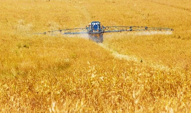 TÜRİB Buğday Ekmeklik Endeksi haftayı yüzde 4,75 artışla tamamladı
