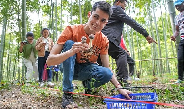 Yabancıların “şikayetleri”: Yunnan’da insanı “çıldırtan” 5 şey