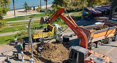 Yalova’da 11 anıt çınar güvenlik riski nedeniyle kaldırılıyor