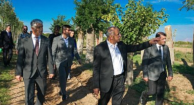 Büyükşehirden yıllık 20 bin fidan ile 50 bin metrekare rulo çim üretimi