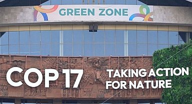 COP17 Başkanı: Çin, müzakerelerin ilerlemesine önemli katkı sağlıyor